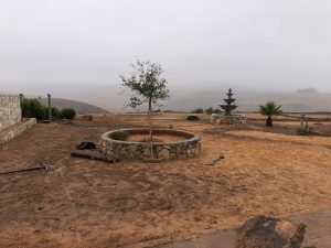 fountain0