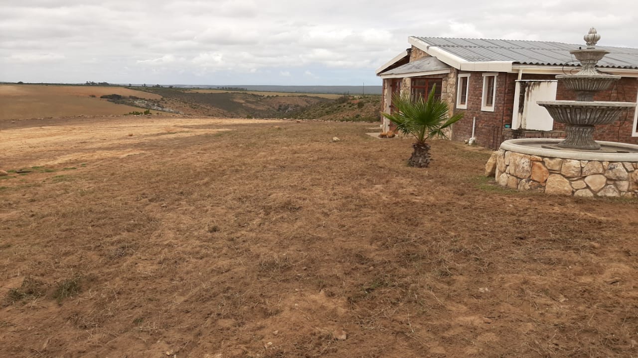 Before Instant Lawn at Lawn it Stilbaai
