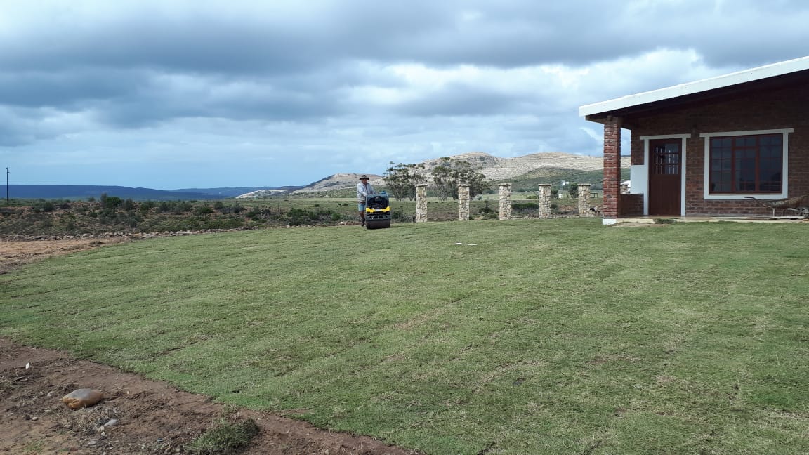 Rolling lawn at Lawn it Still Bay
