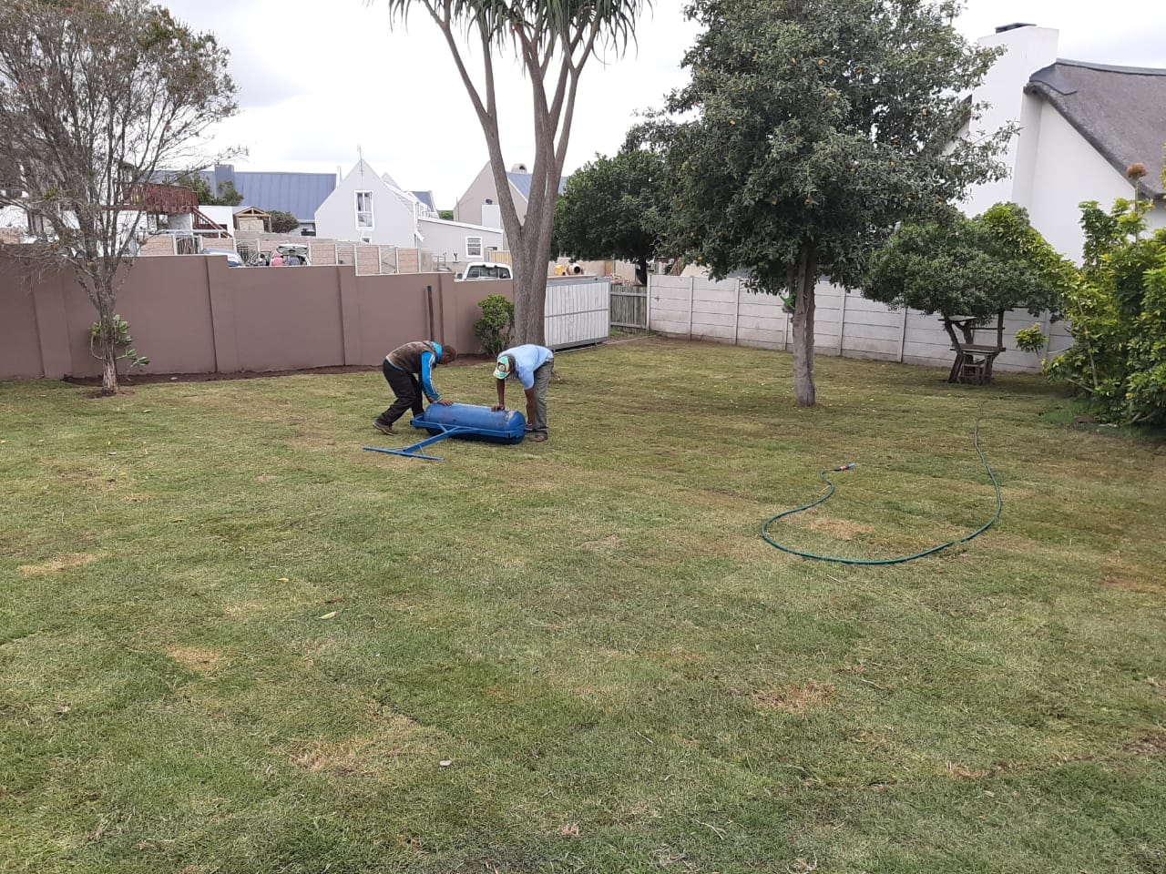 Lawn Rolling at Lawn It Stilbaai
