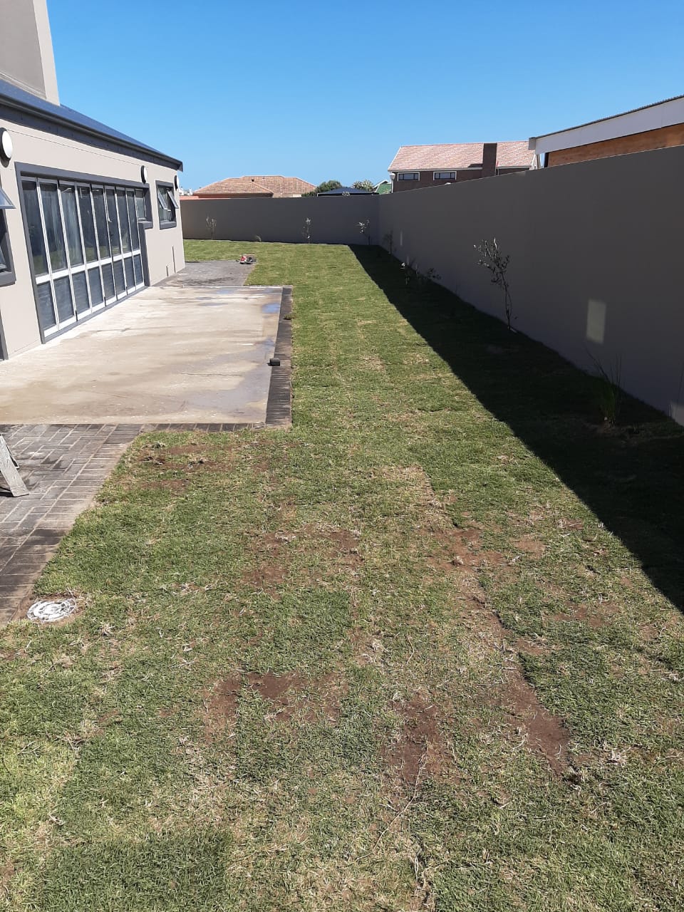 Growing Lawn at Lawn it Still Bay