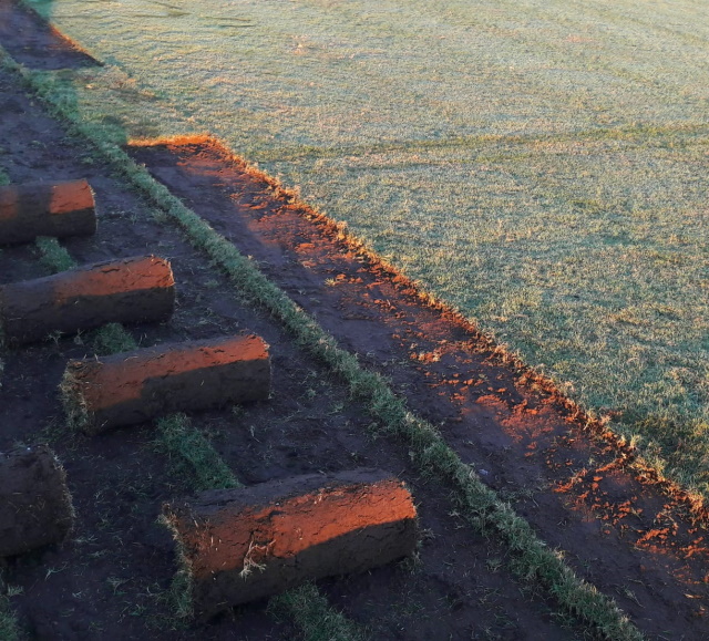 Lawn it Services in Stilbaai
