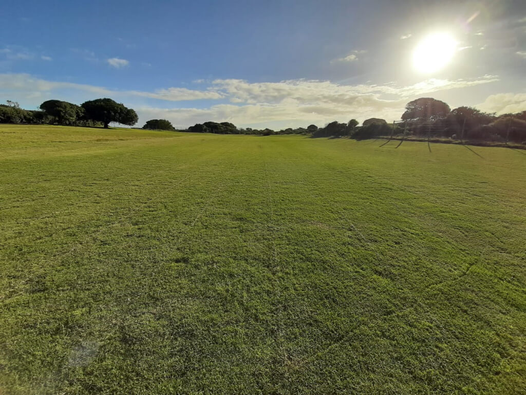 About our grass Lawn it