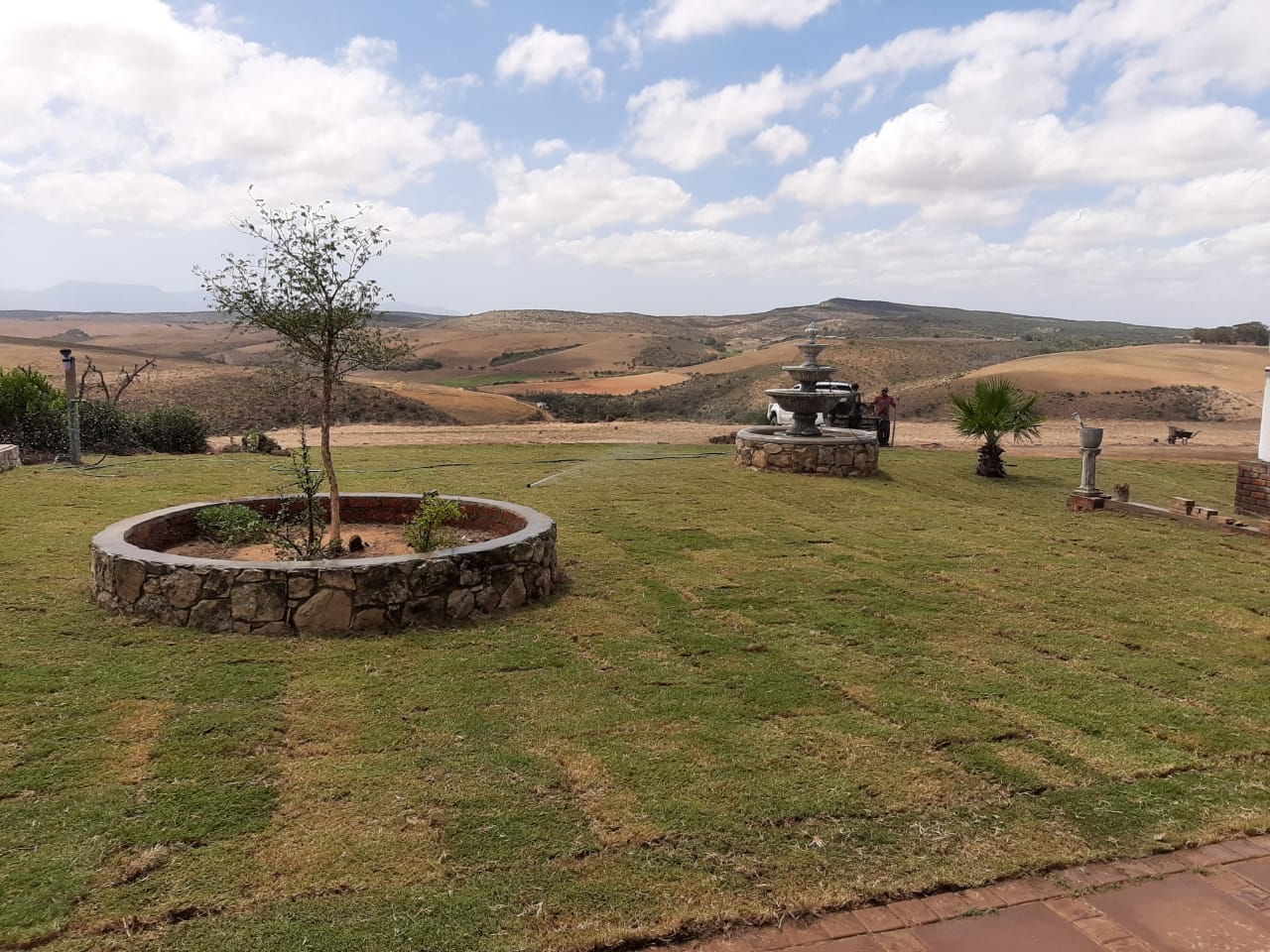After Instant Lawn at Lawn it Stilbaai