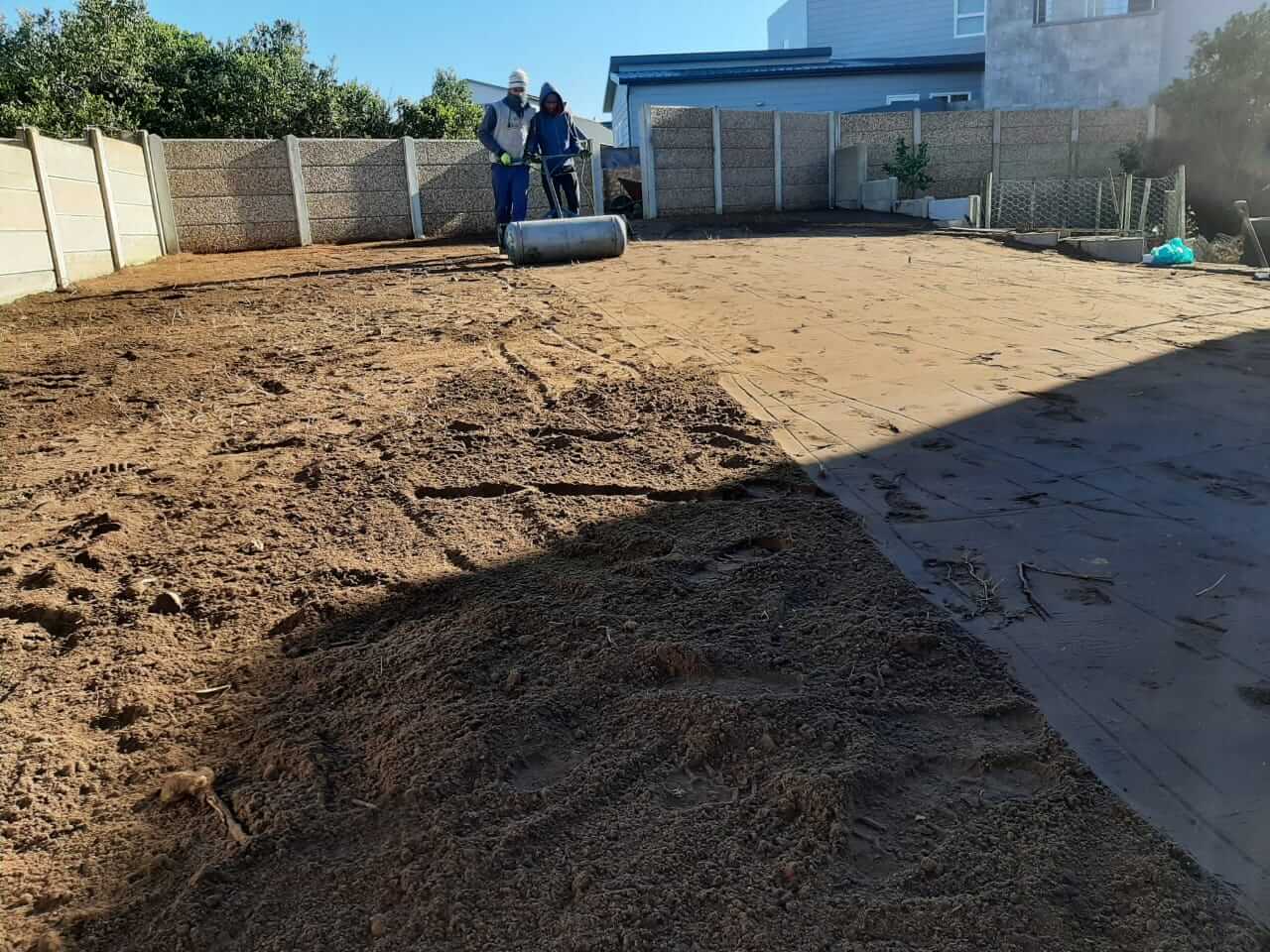 kikuyu lawn install at lawn it